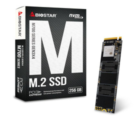 Dysk SSD Biostar M700 M.2 NVMe PCI-E x4 Gen3 256GB BOX