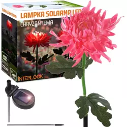 FLD-26-PINK | Kwiatek solarny | Ogrodowa lampa solarna LED Chryzantema | 72 cm, 600 mAh